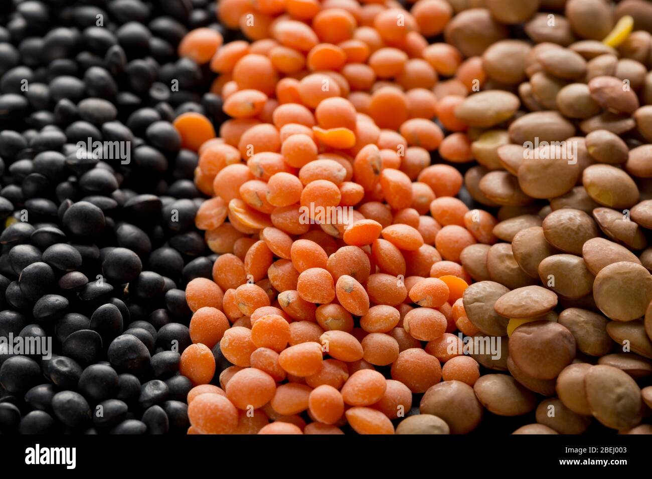 Different assorted lentils mix with red, brown and black beluga lentils macro - selective focus Stock Photo