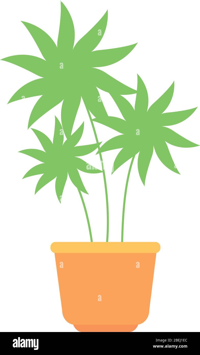 plant in house pot isolated icon Stock Vector Image & Art - Alamy
