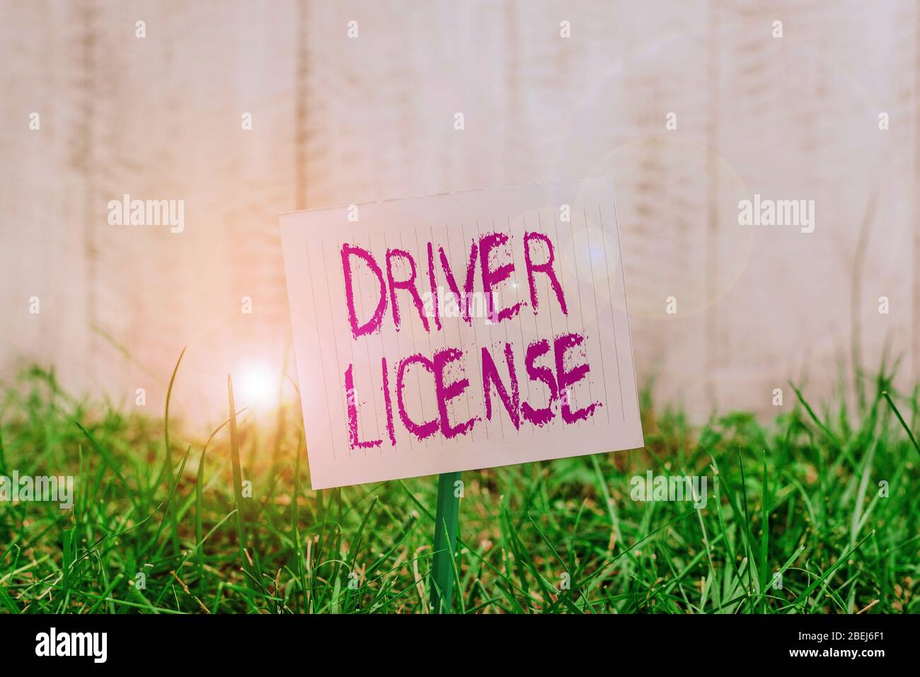 Text sign showing Driver License. Business photo showcasing a document ...