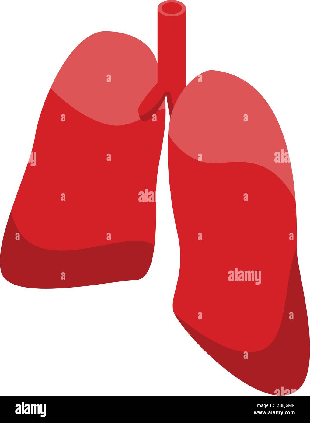 Donate organs lungs icon, isometric style Stock Vector