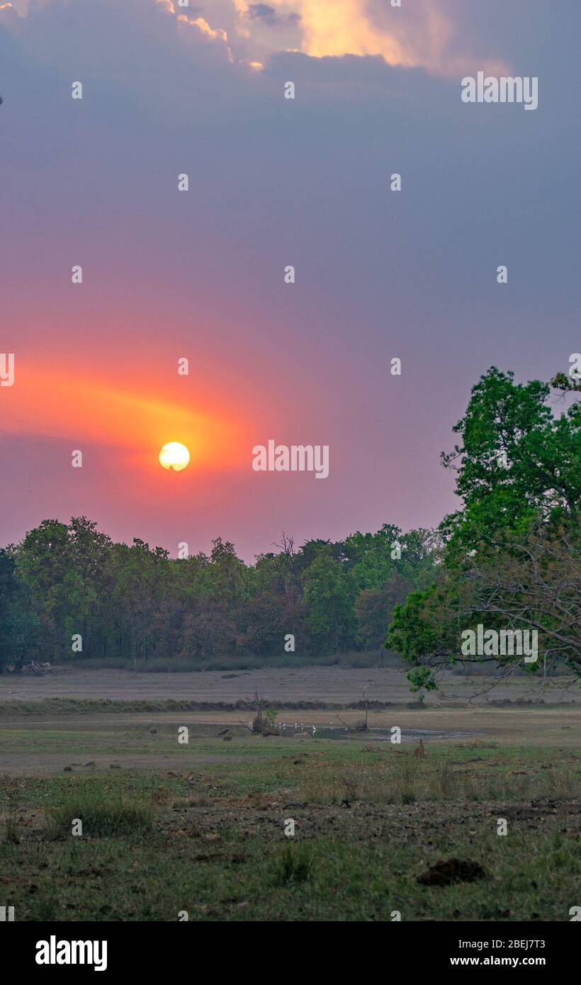 Sunrise at Kanha Tiger Reserve, Madhya Pradesh, India Stock Photo