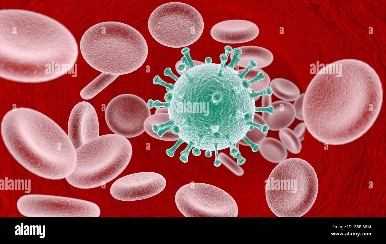 Virus with blood cells flowing in artery Stock Photo