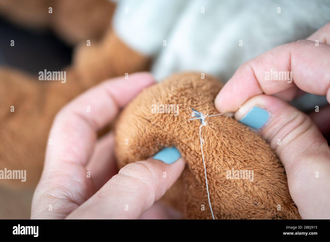 Female hand with blue nail polish sewing a ripped and dirty teddy bear Stock Photo