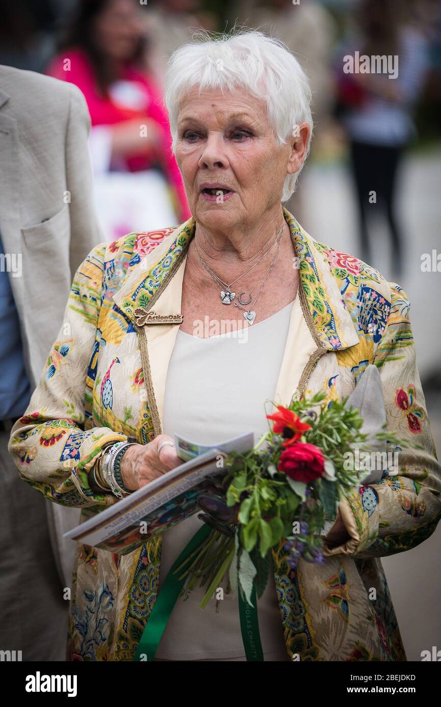 London, UK. May, 2019. Dame Judi Dench attends the Opening day of the 2019 Chelsea Flower Show. Stock Photo