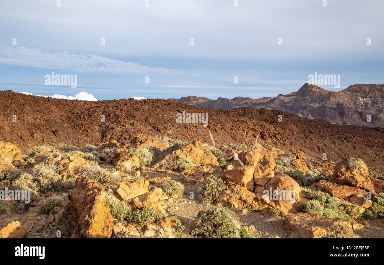 Maquis shrubland hi-res stock photography and images - Alamy