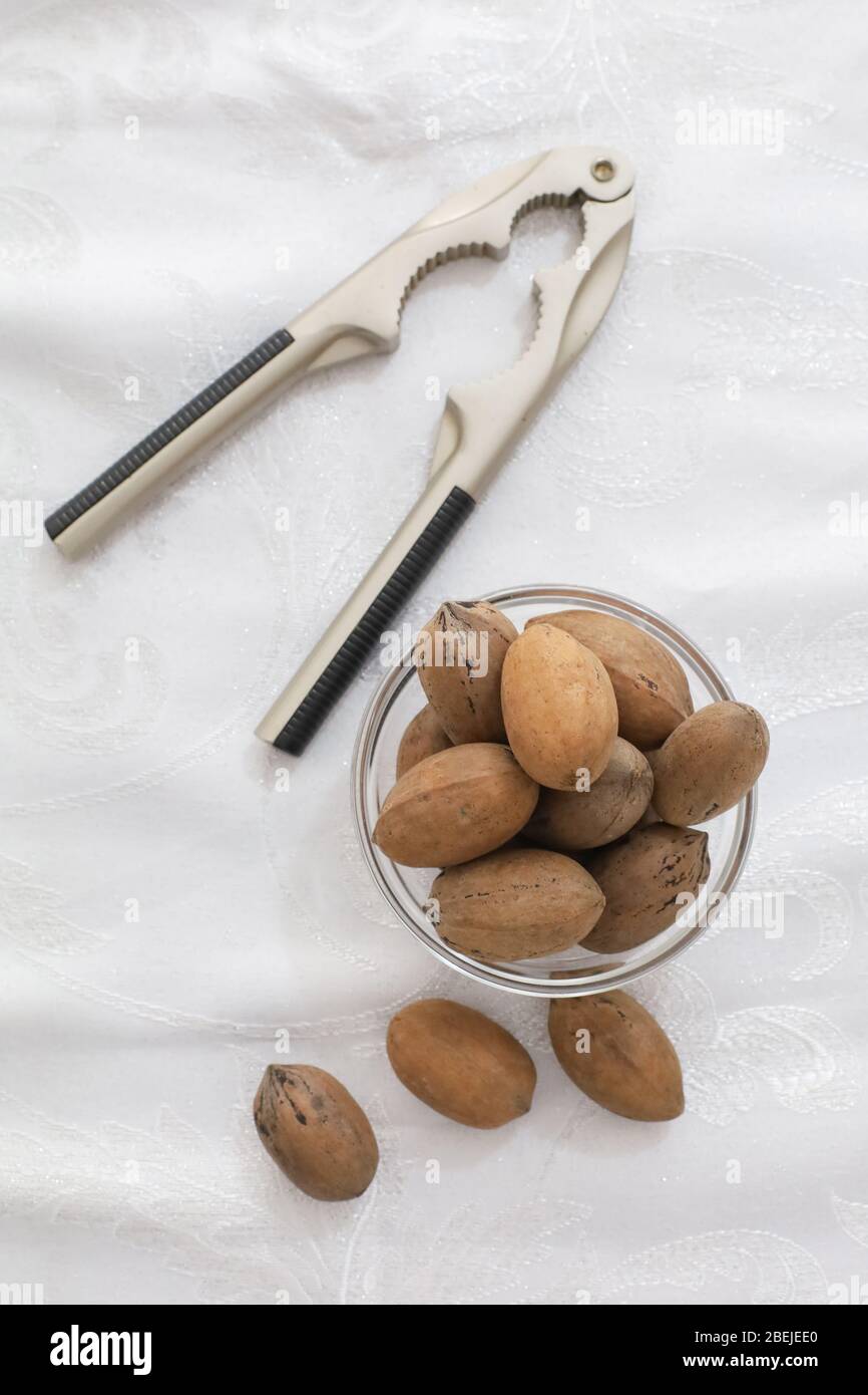 some pecan nuts and nutcracker Stock Photo