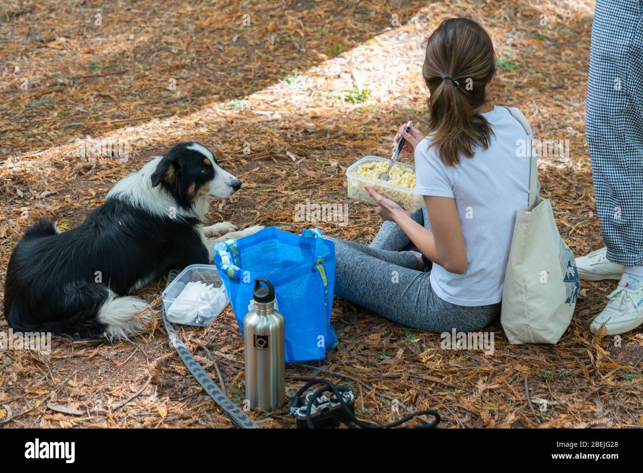 Victoria Australia March 19 2020; Sitting on forest floor with dog