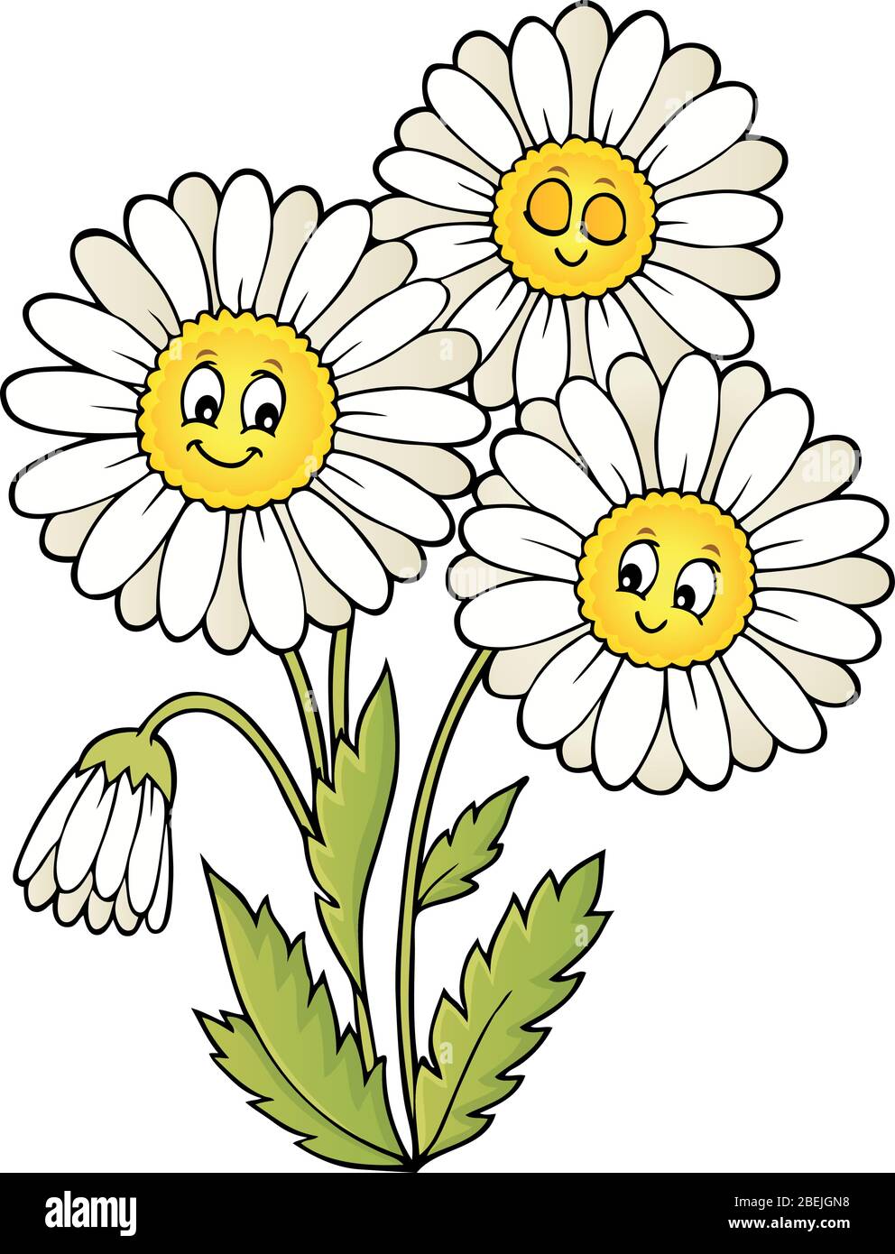 Daisy flower theme image 1 - eps10 vector illustration Stock Vector ...
