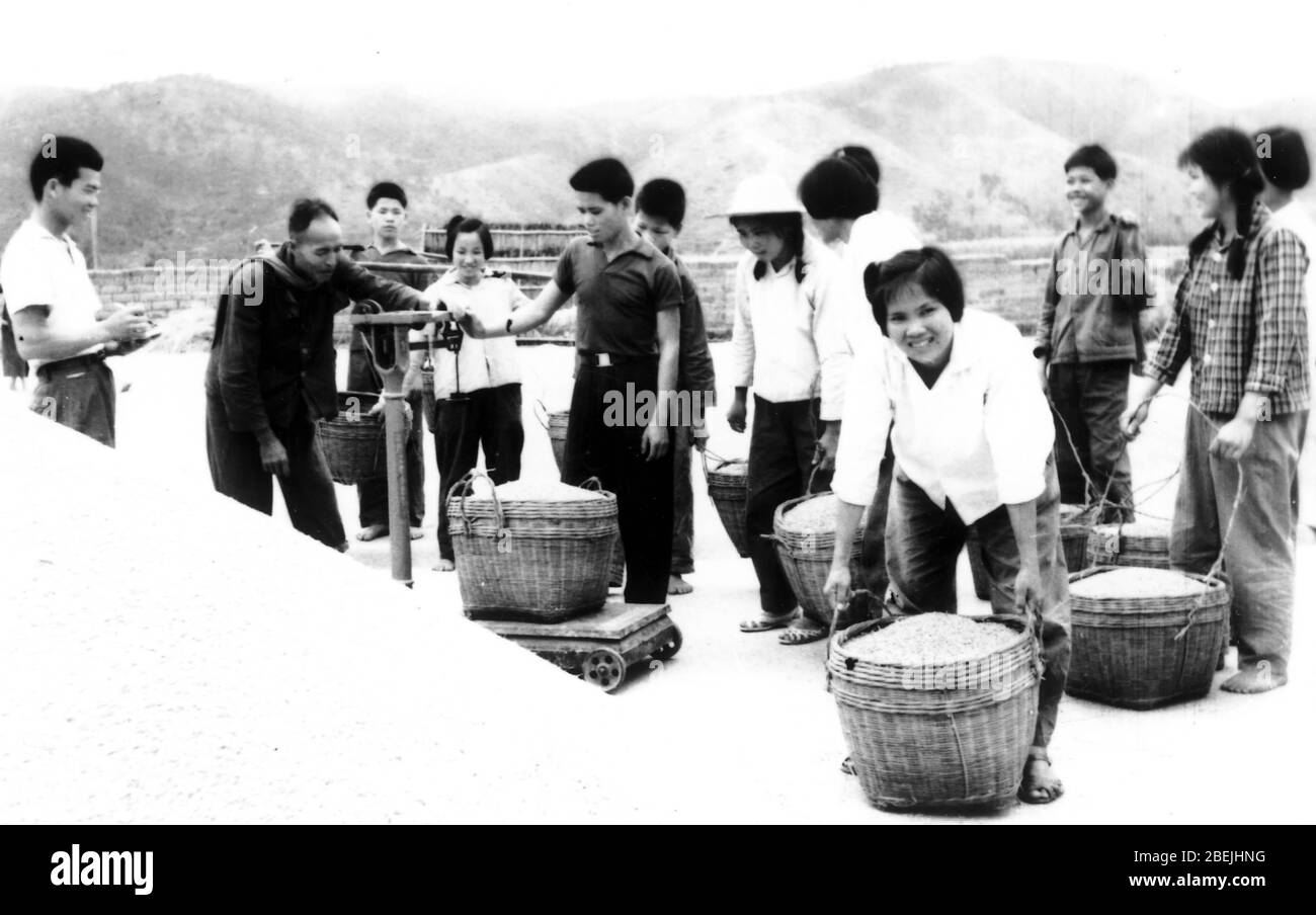 In the 1960s farmers in the Huangshui Commune Gaozhou County Guangdong paid for the purchase of food Farmers actively pay for the country's public pur Stock Photo