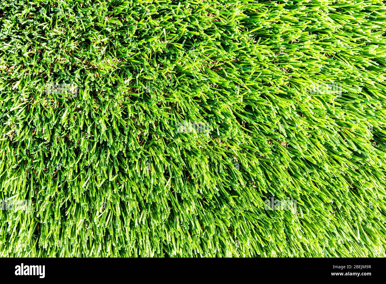 Artificial green grass or needles texture. Abstract backdrop for design. Stock Photo