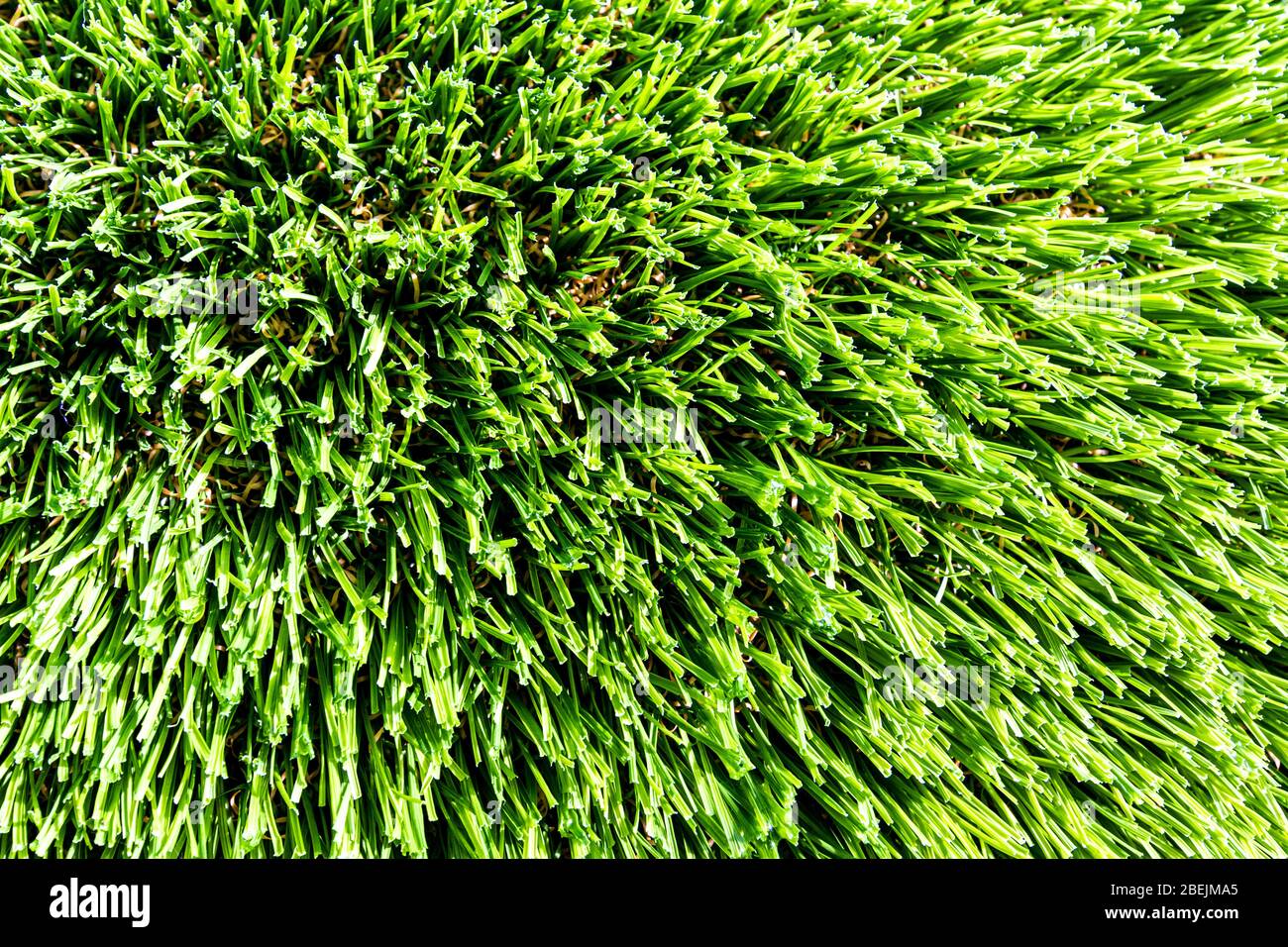 Artificial green grass or needles texture. Abstract backdrop for design. Stock Photo