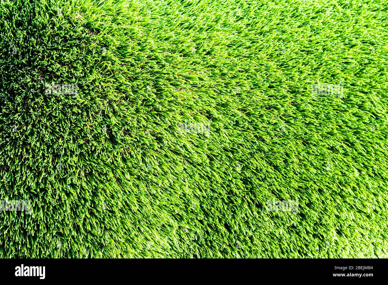 Artificial green grass or needles texture. Abstract background for design. Stock Photo