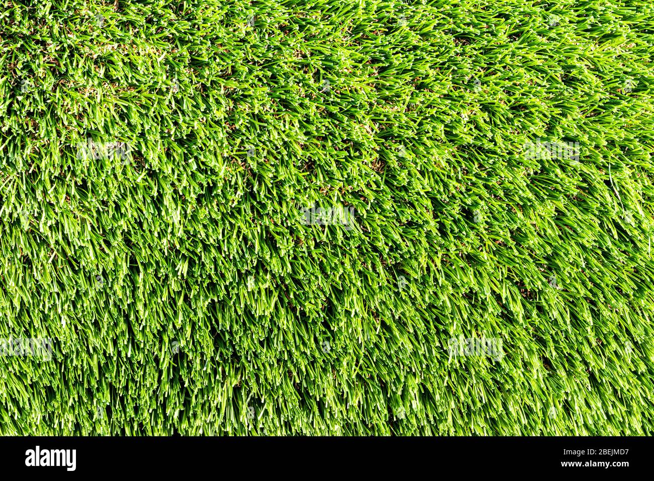Artificial green grass or needles texture. Abstract background for design. Stock Photo