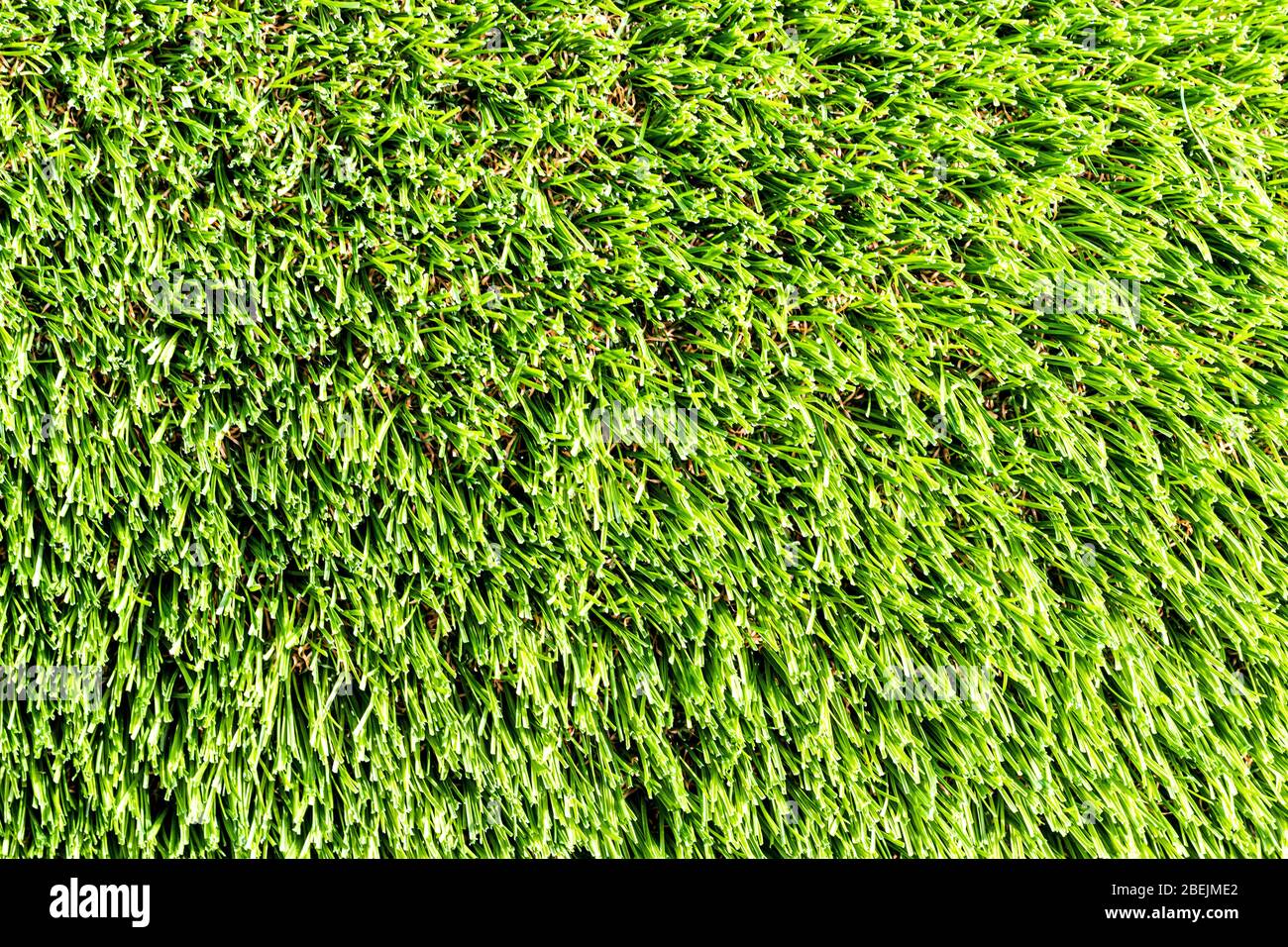 Artificial green grass or needles texture. Abstract backdrop for design. Stock Photo