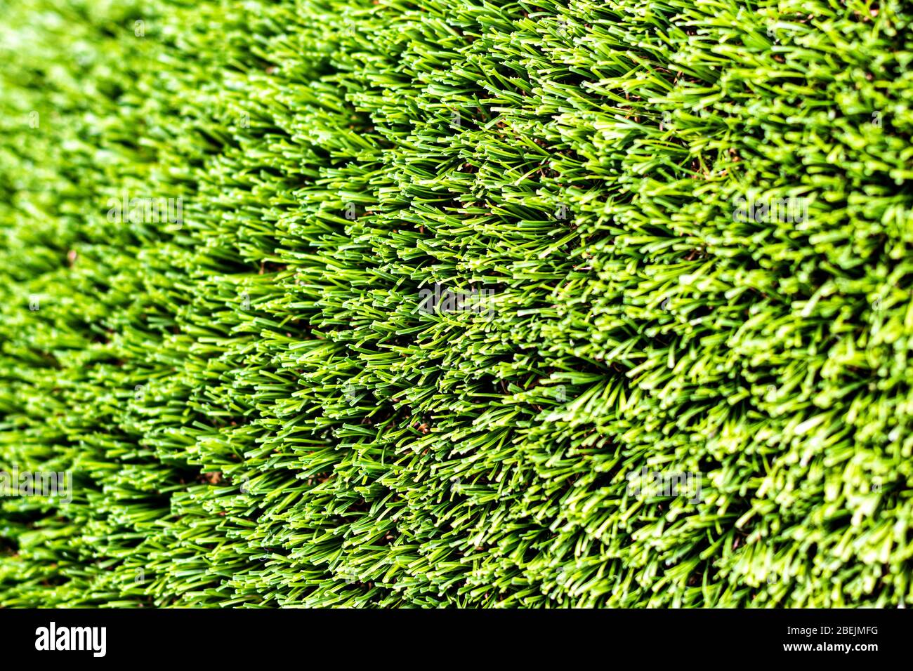 Artificial green grass or needles texture. Abstract background for design. Stock Photo