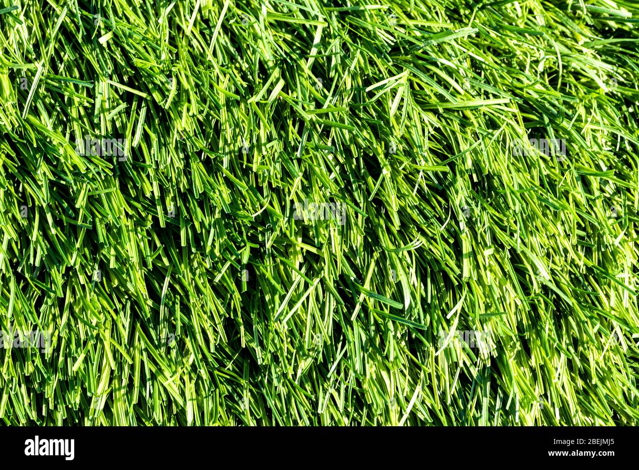 Artificial green grass or needles texture. Abstract backdrop for design. Stock Photo
