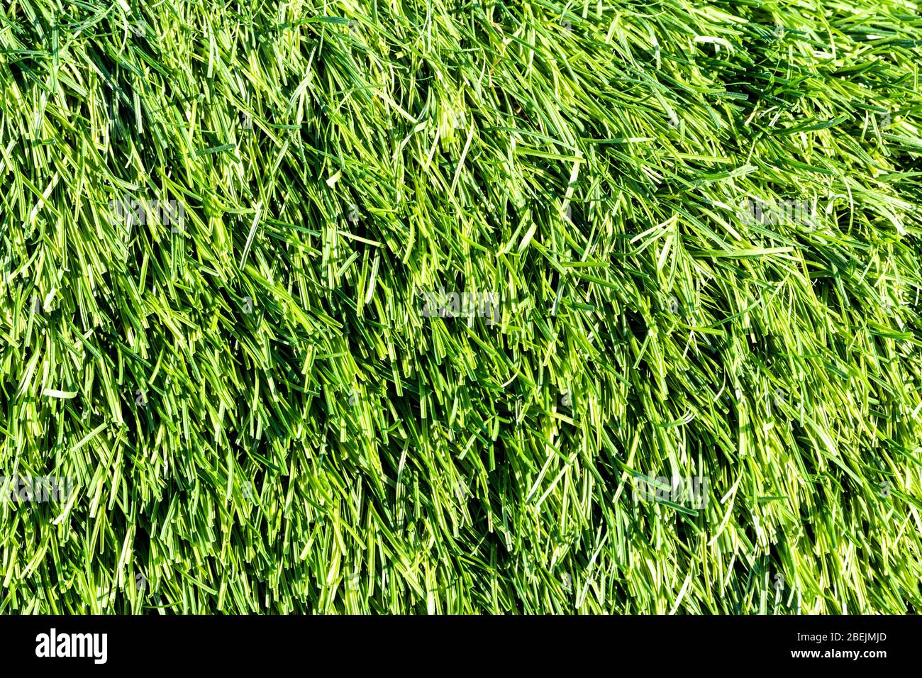 Artificial green grass or needles texture. Abstract background for design. Stock Photo