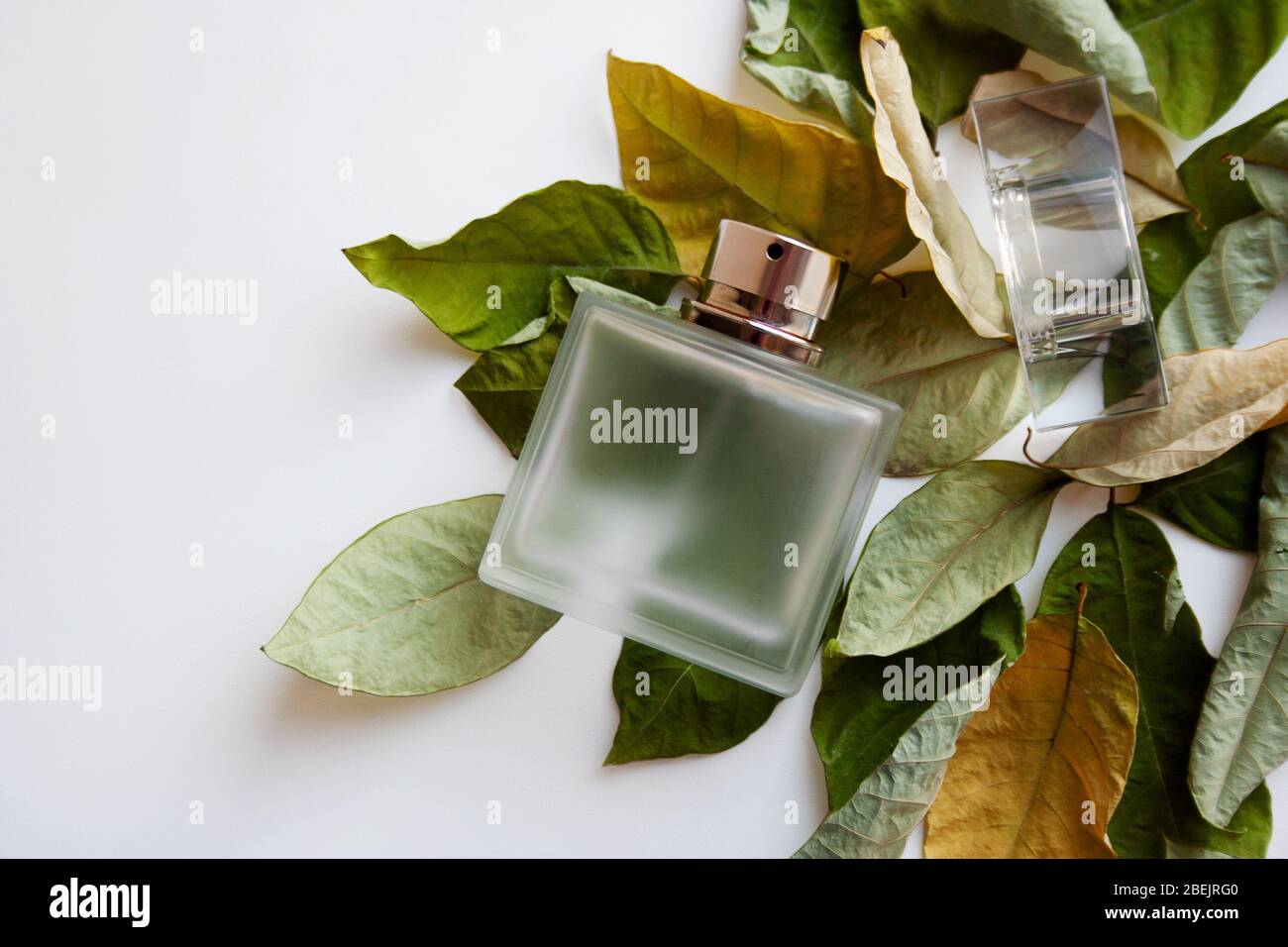 Rectangular glass perfume bottle with dry green and yellow leaves on white background Stock Photo