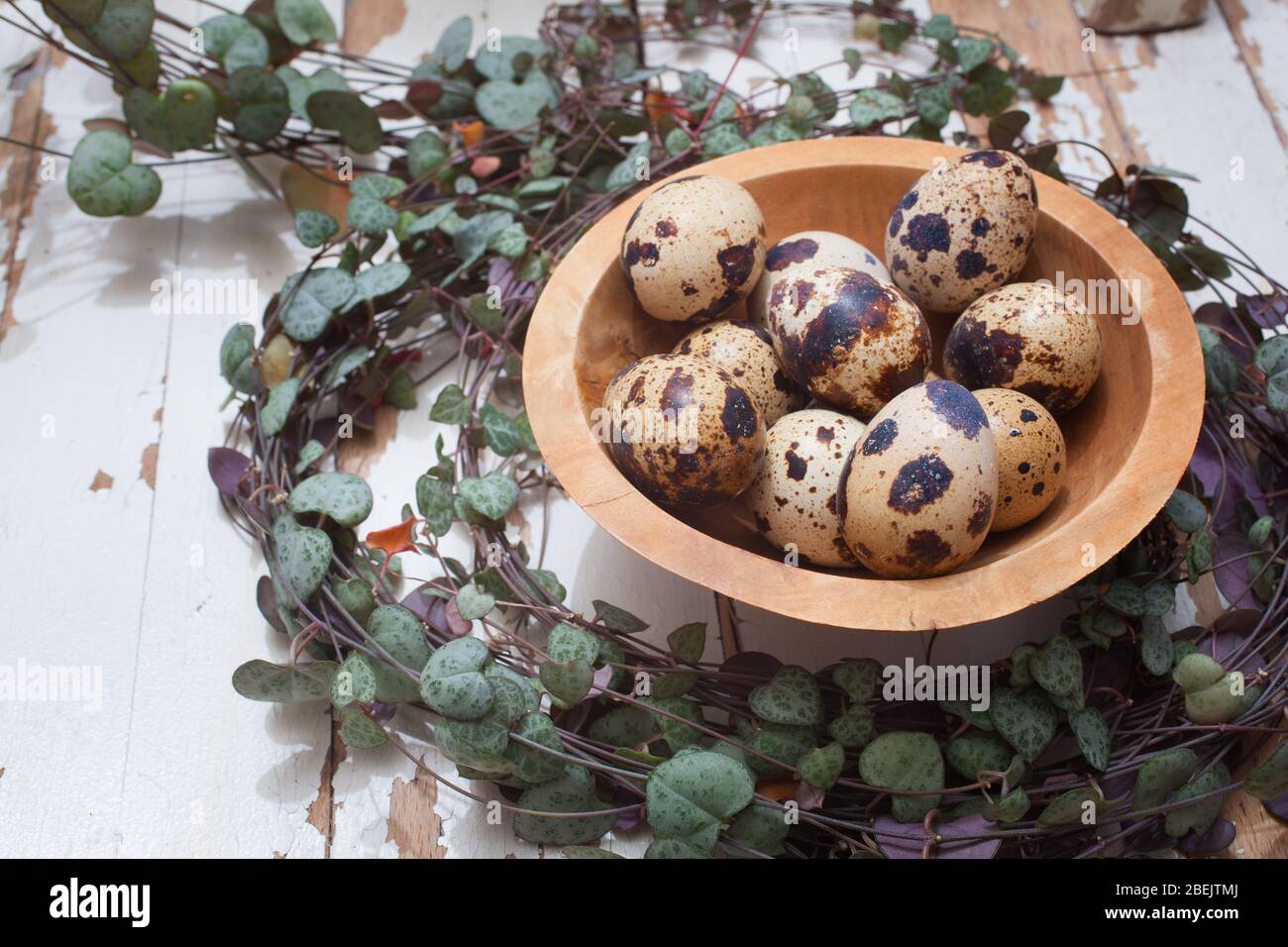 Quails eggs in a wooden bowl against in a nest like setting Stock Photo