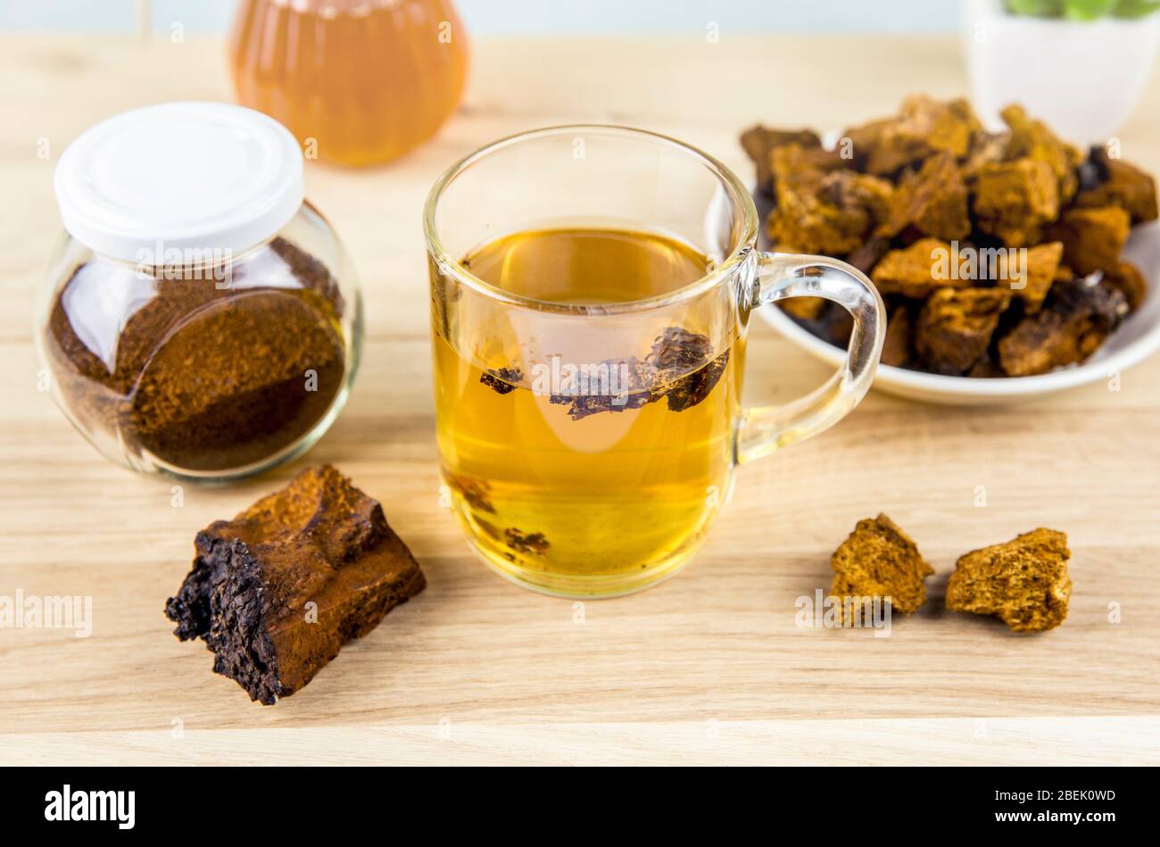 Wild natural chaga mushroom from birch tree, Inonotus obliquus pieces in tea glass on wooden table indoors home. Alternative traditional medicine. Stock Photo
