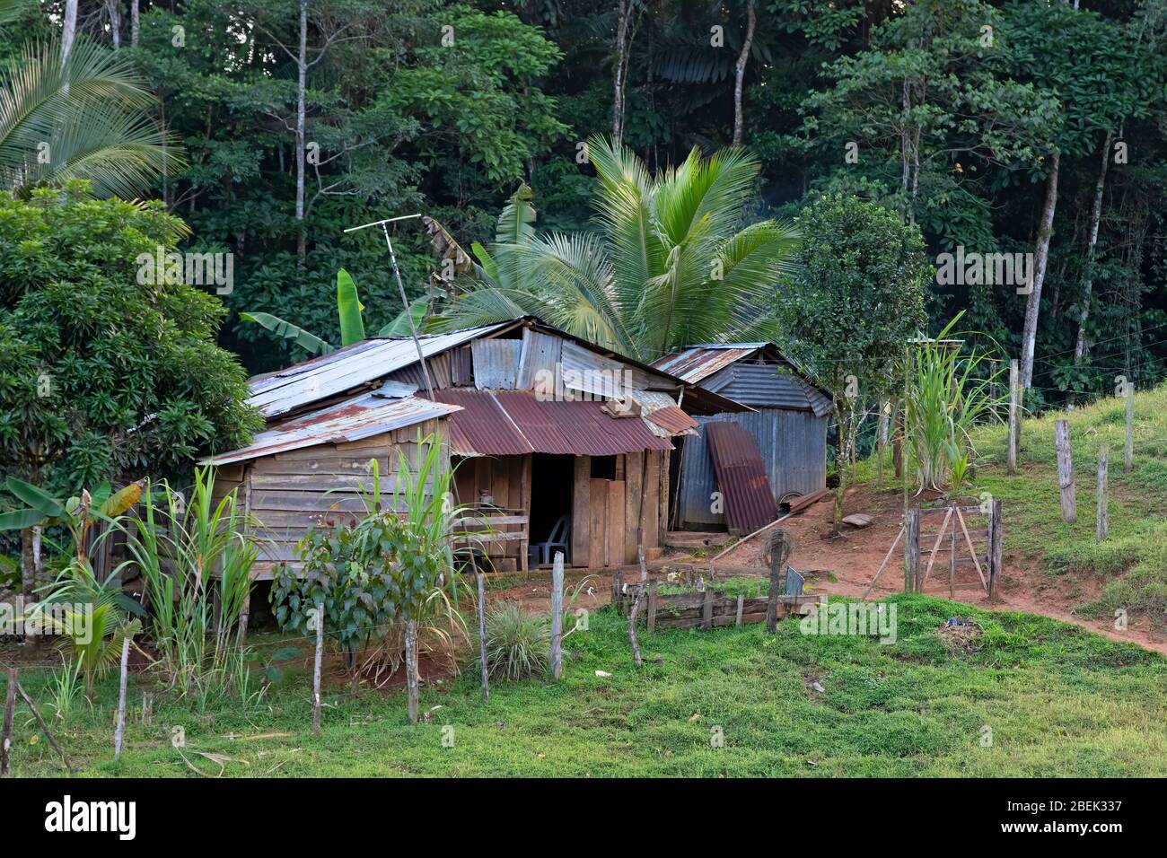 Tin sheet metal dilapidated house in the jungles of Costa Rica Stock Photo