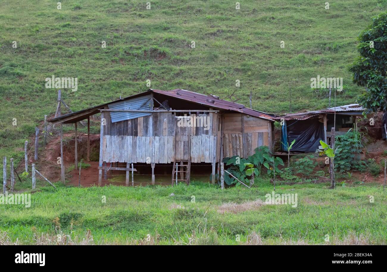 Tin sheet metal dilapidated house in the jungles of Costa Rica Stock Photo