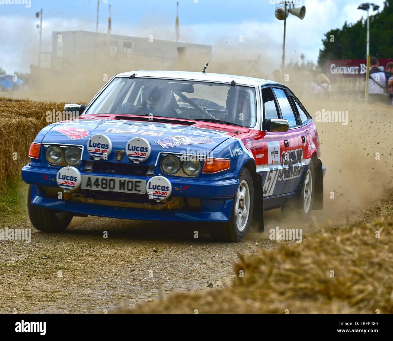 Adam Keeler, Rover SD1 Vitesse, Forest Rally Stage, Goodwood Festival