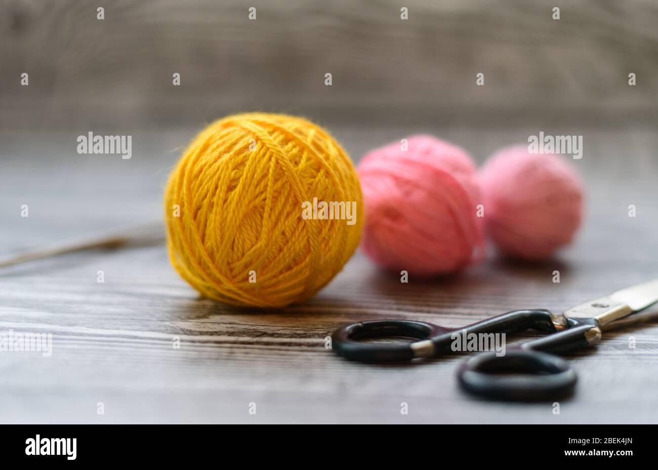 Flat lay of three colored wool balls, knitting needles and scissors laying on the wooden background. Stock Photo