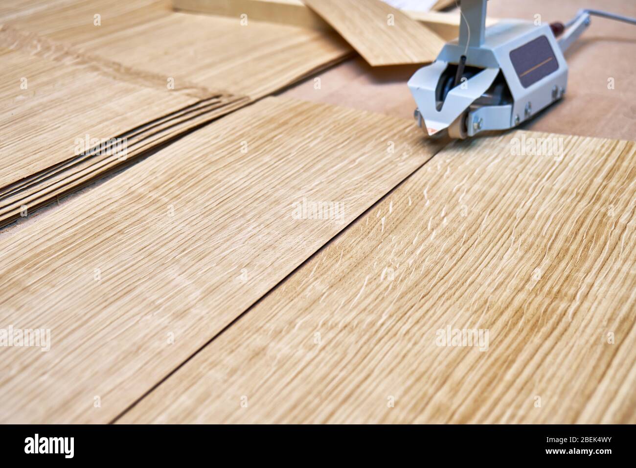 Oak veneer. Oak texture. Veneer splicing process with veneer hand