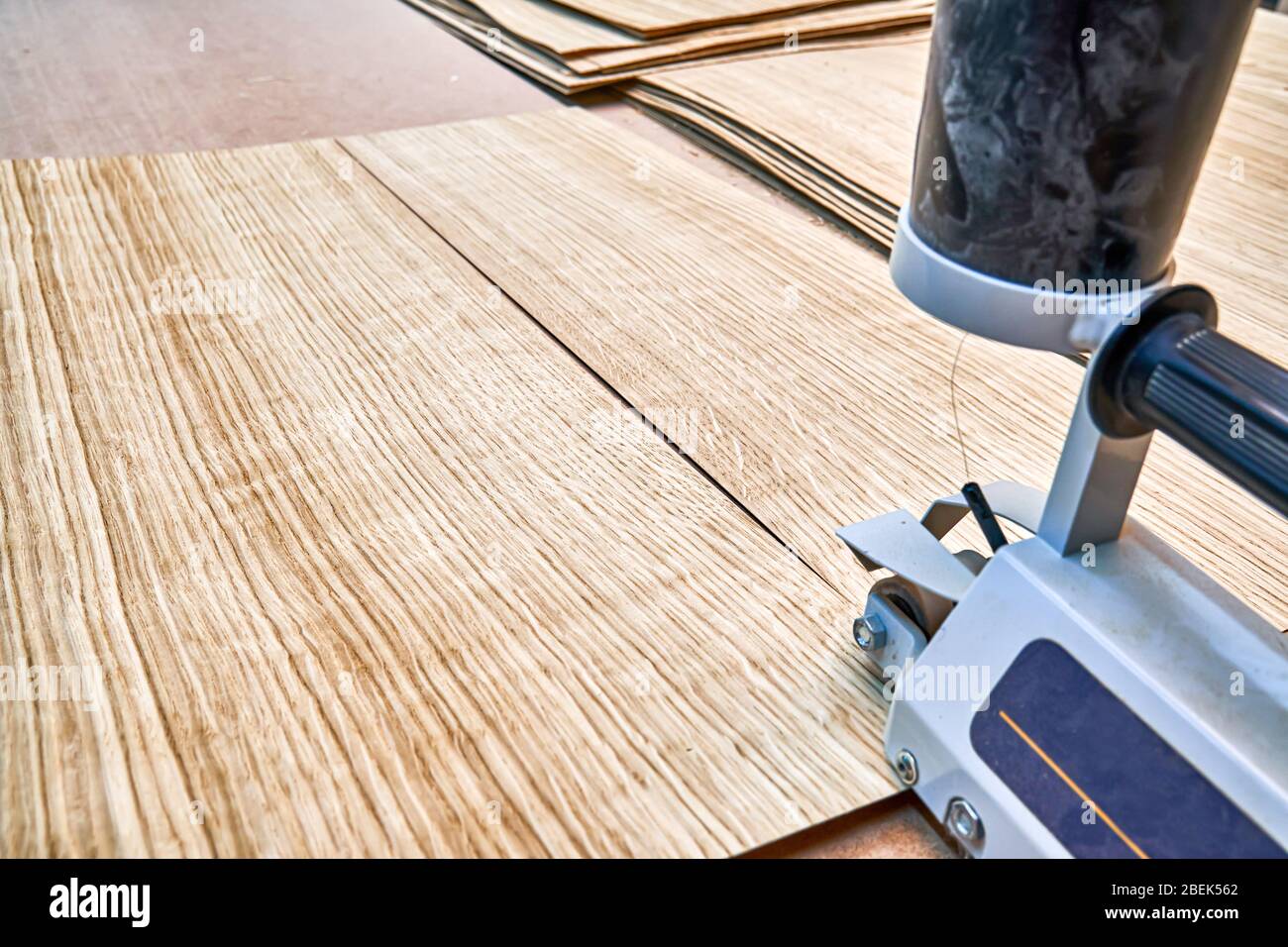 Oak veneer. Oak texture. Veneer splicing process with veneer hand