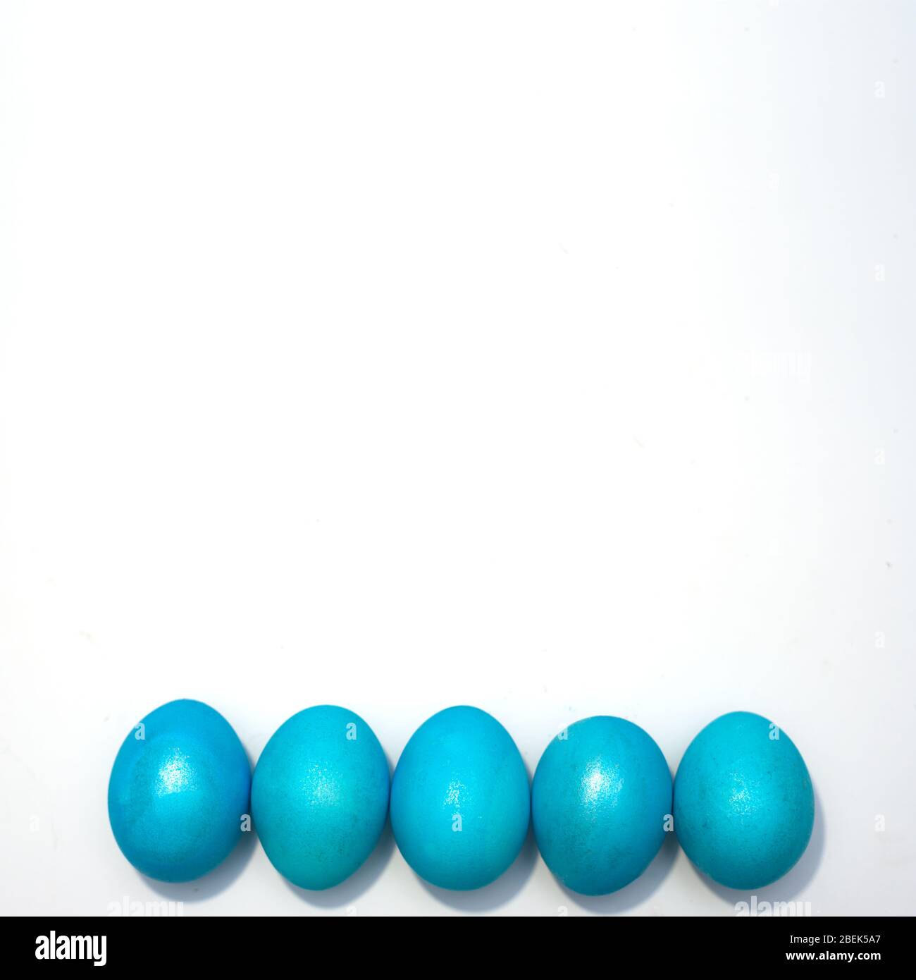 Many colored blue easter chicken eggs isolated on the white background. Space for text. Stock Photo