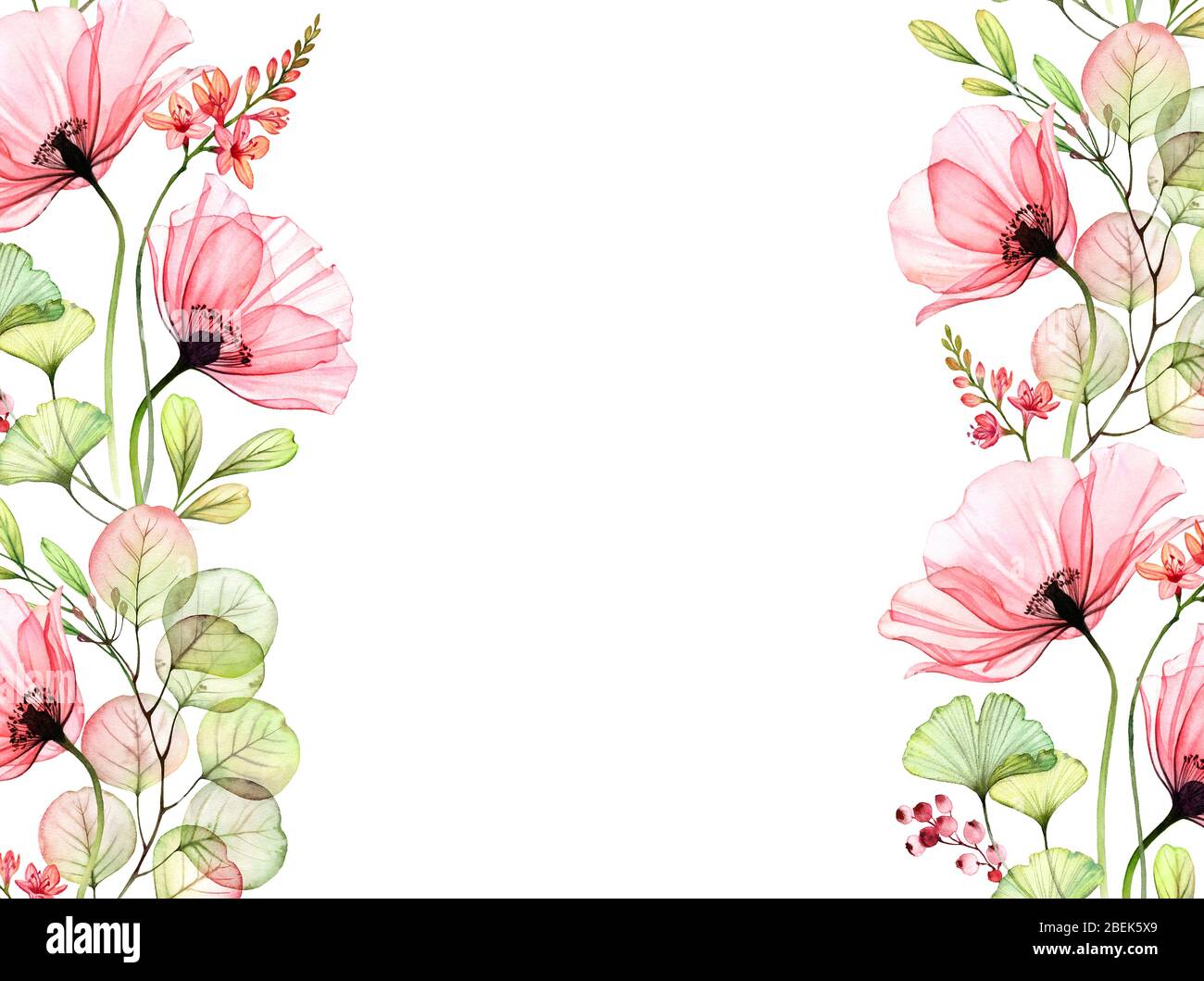 Watercolor floral background with borders on the sides. Transparent poppies  and eucalyptus leaves. Isolated hand painted banner with big flowers for  Stock Photo - Alamy