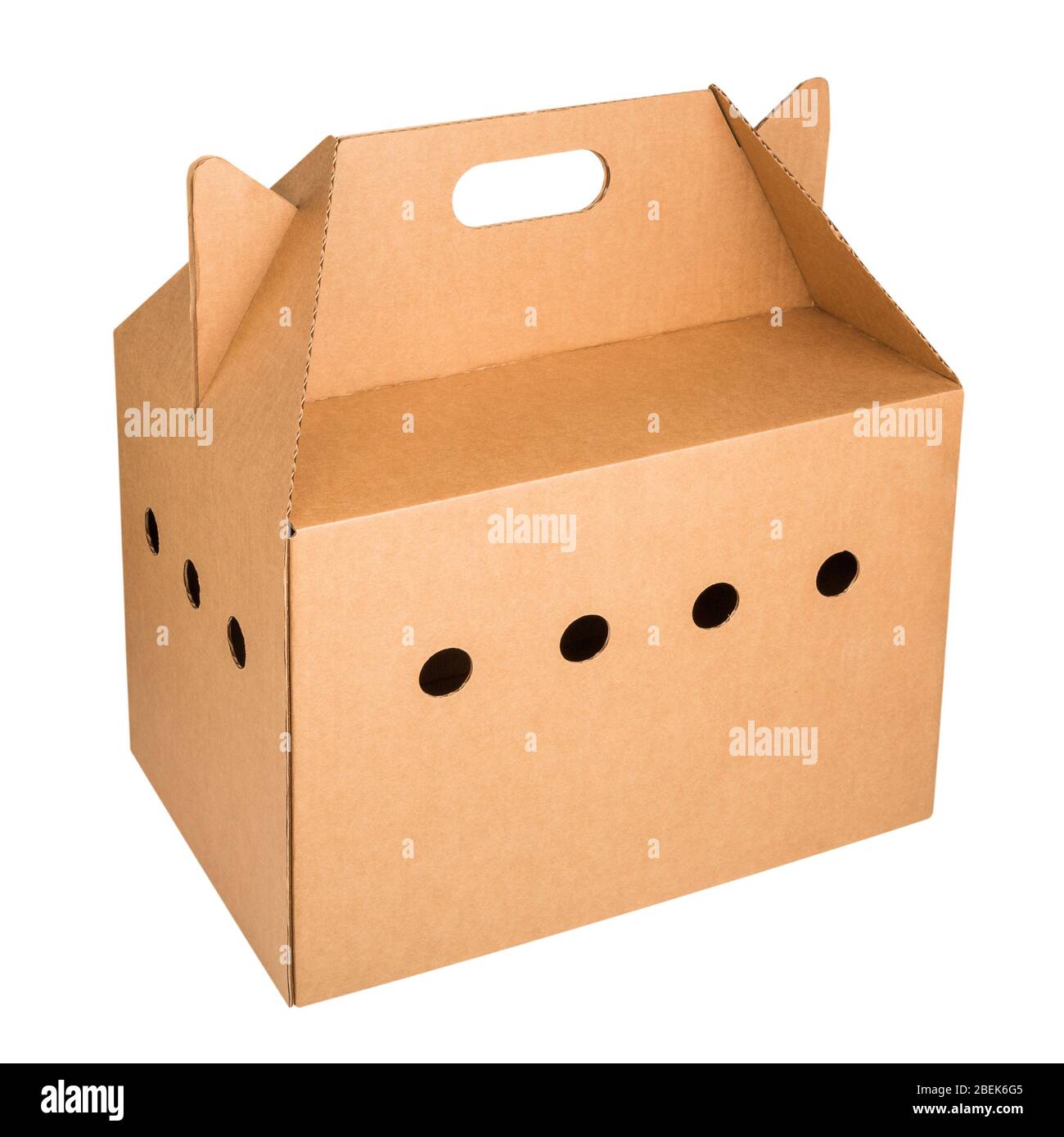 Cardboard travel box for small animals isolated on white background Stock  Photo - Alamy