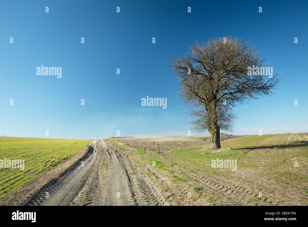 Grass growing along rural road hi-res stock photography and images - Alamy
