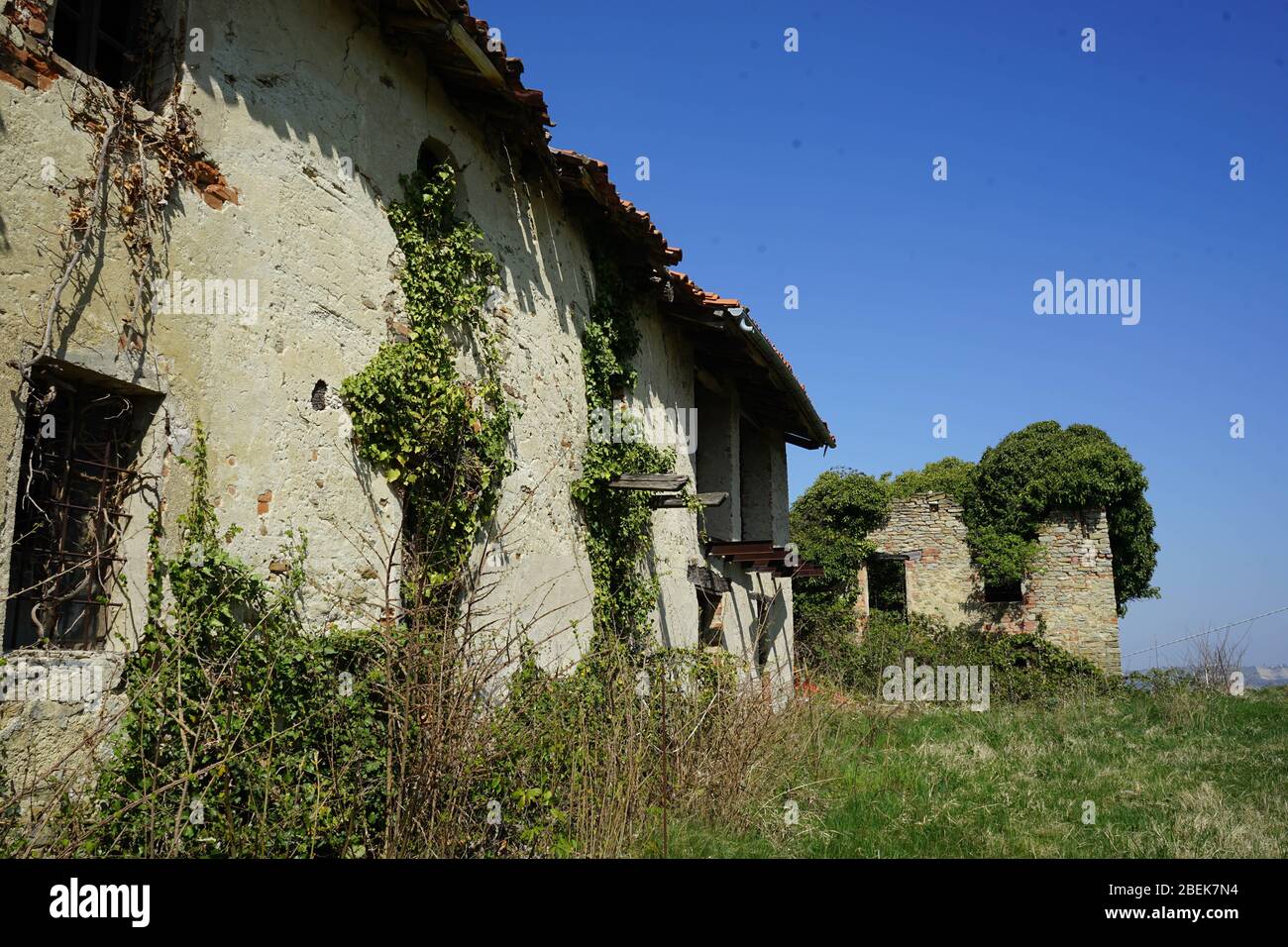 An old abandoned house in the countryside: ruins Stock Photo - Alamy
