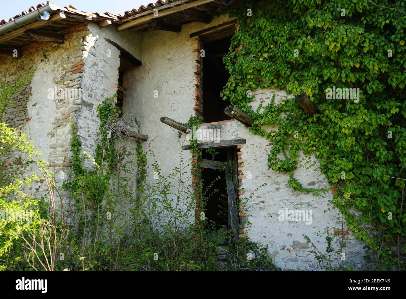 An old abandoned house in the countryside: ruins Stock Photo - Alamy