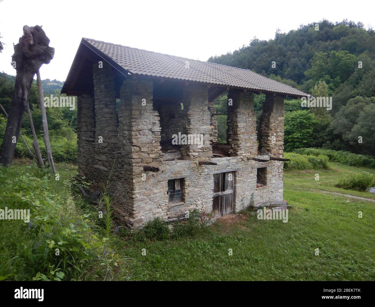 An old abandoned house in the countryside: ruins Stock Photo - Alamy