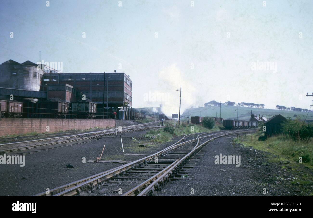 1969, Colliery steam engine shunting coal wagons at Waterside Mine, Dalmellington South West Scotland, UK Stock Photo