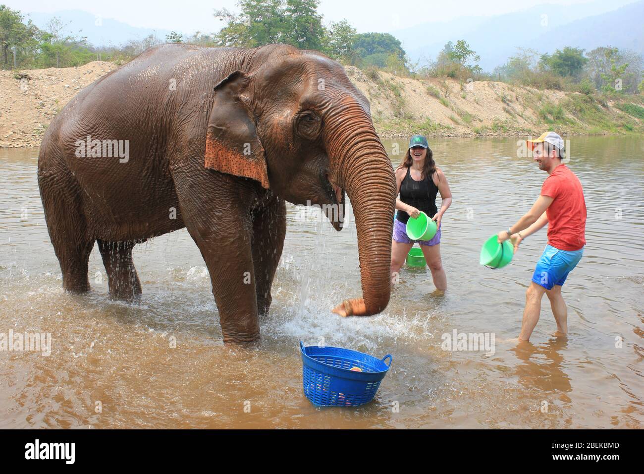 Tourists Washing Elephant at Elephant Nature Park, Thailand Stock Photo