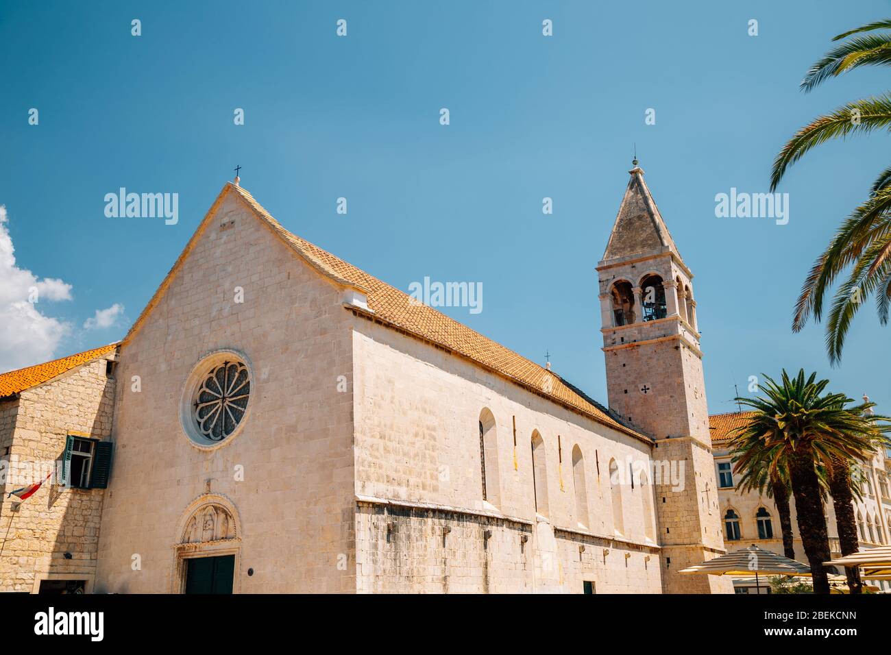 Church of St. Dominic with palm tree in Trogir, Croatia Stock Photo
