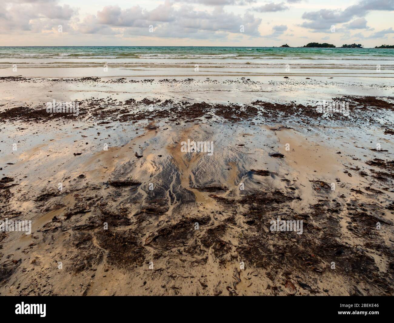 BINTAN, INDONESIA – 7 MAR 2020 – Tar balls and oil sludge from marine oil spills wash up on Lagoi beach causing environmental pollution Stock Photo