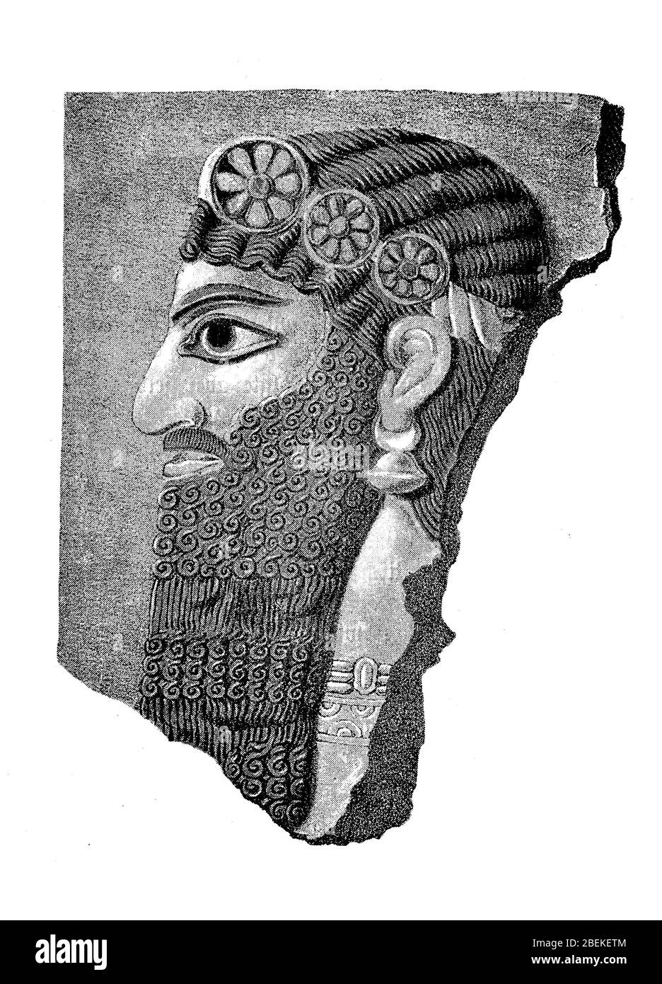 Type of the Assyrian race, Assyria, Mesopotamia, Iraq, ca 1200  /  Typus der assyrischen Rasse, Assyrien, Mesopotamien, Irak, ca 1200, Historisch, digital improved reproduction of an original from the 19th century / digitale Reproduktion einer Originalvorlage aus dem 19. Jahrhundert Stock Photo