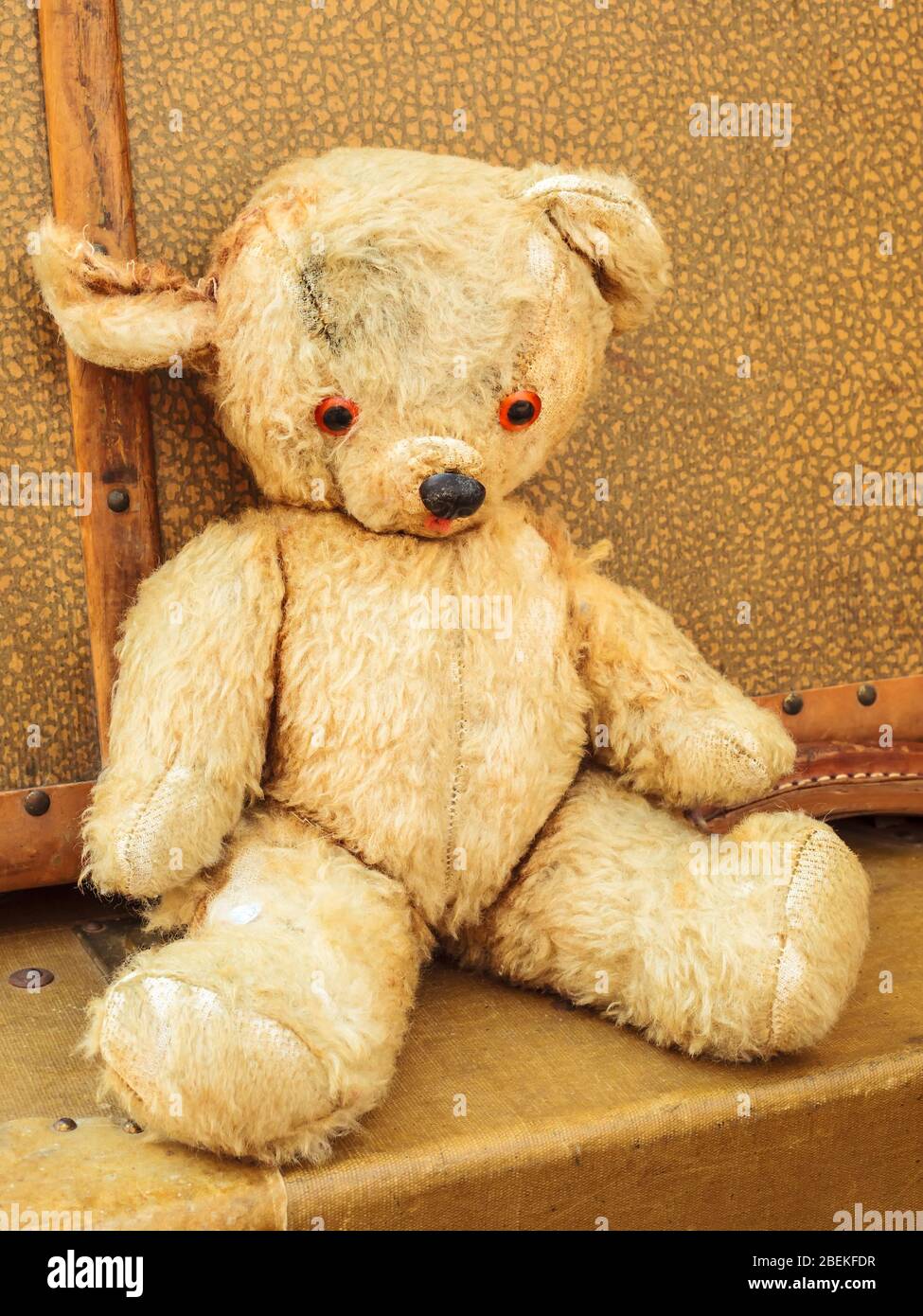 Vintage weathered teddy bear with old suitcases Stock Photo