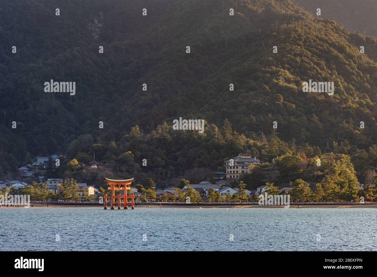 Looking at Miyajima island from the ferry. Floating red giant Grand O-Torii gate stands in bay beach at low tide on sunny day, Hiroshima City Stock Photo