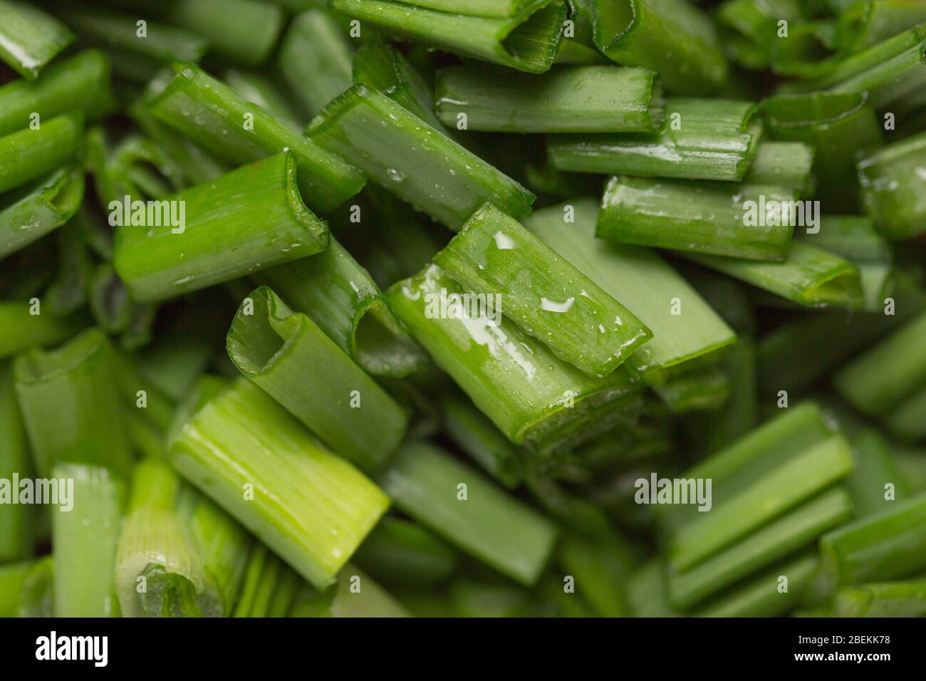 chopped green onions isolated on white background Stock Photo - Alamy