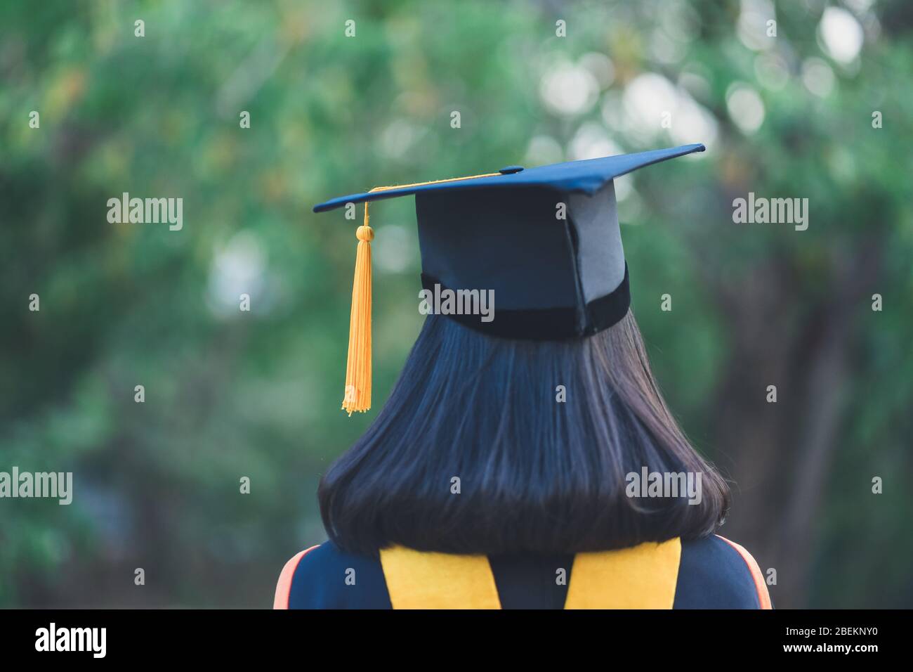 Graduation Caps Air Stock Photos and Pictures - 5,495 Images