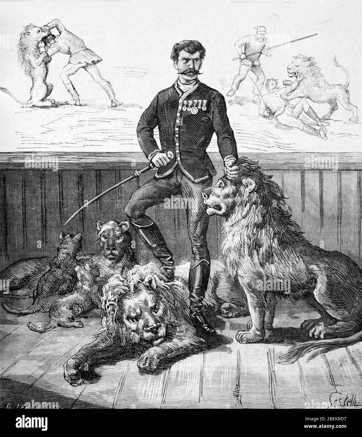 Lion Tamer or Lion Trainer known as Faimali. Vintage or Old Illustration or Engraving 1887 Stock Photo