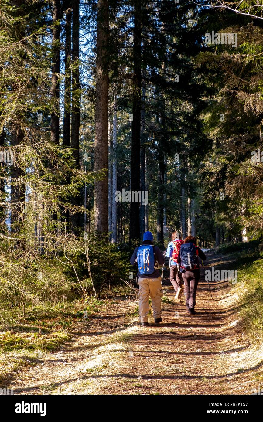 black forest trekking