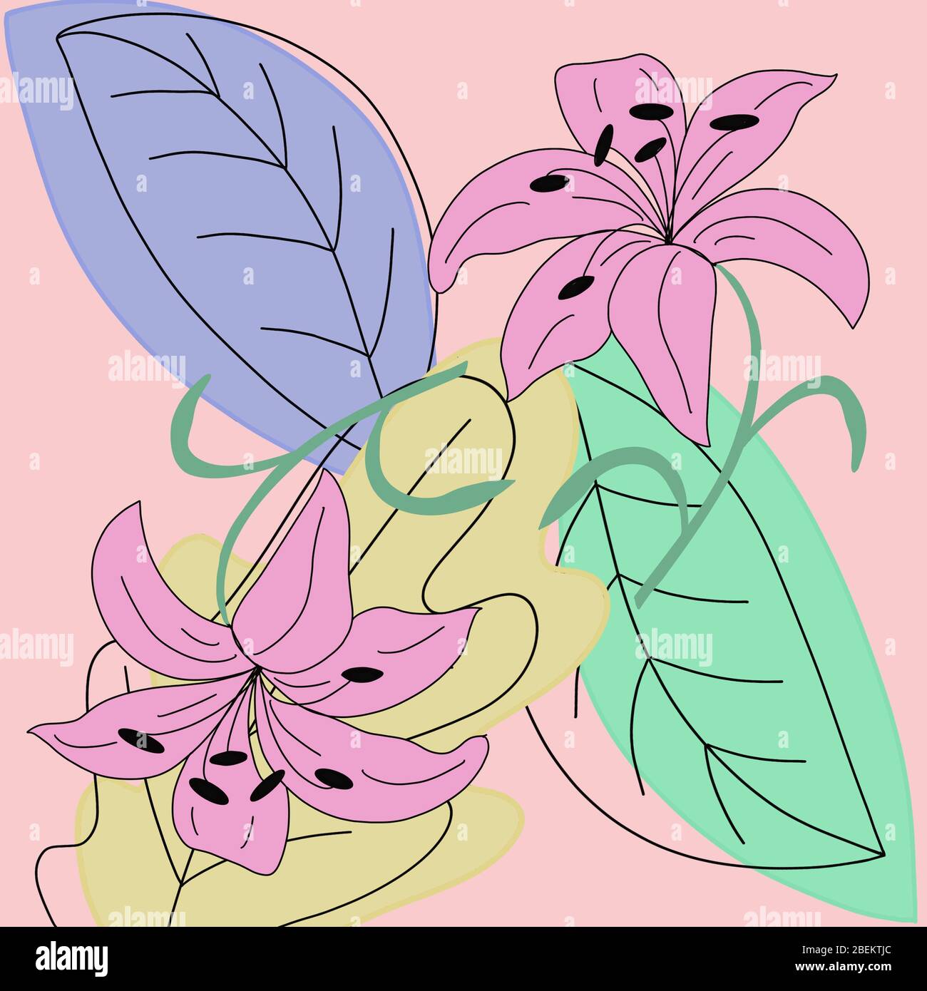 Botanical illustration depicting pink hibiscus flowers and green and blue leaves on a delicate background. For decorating wallpapers, prints on Stock Photo