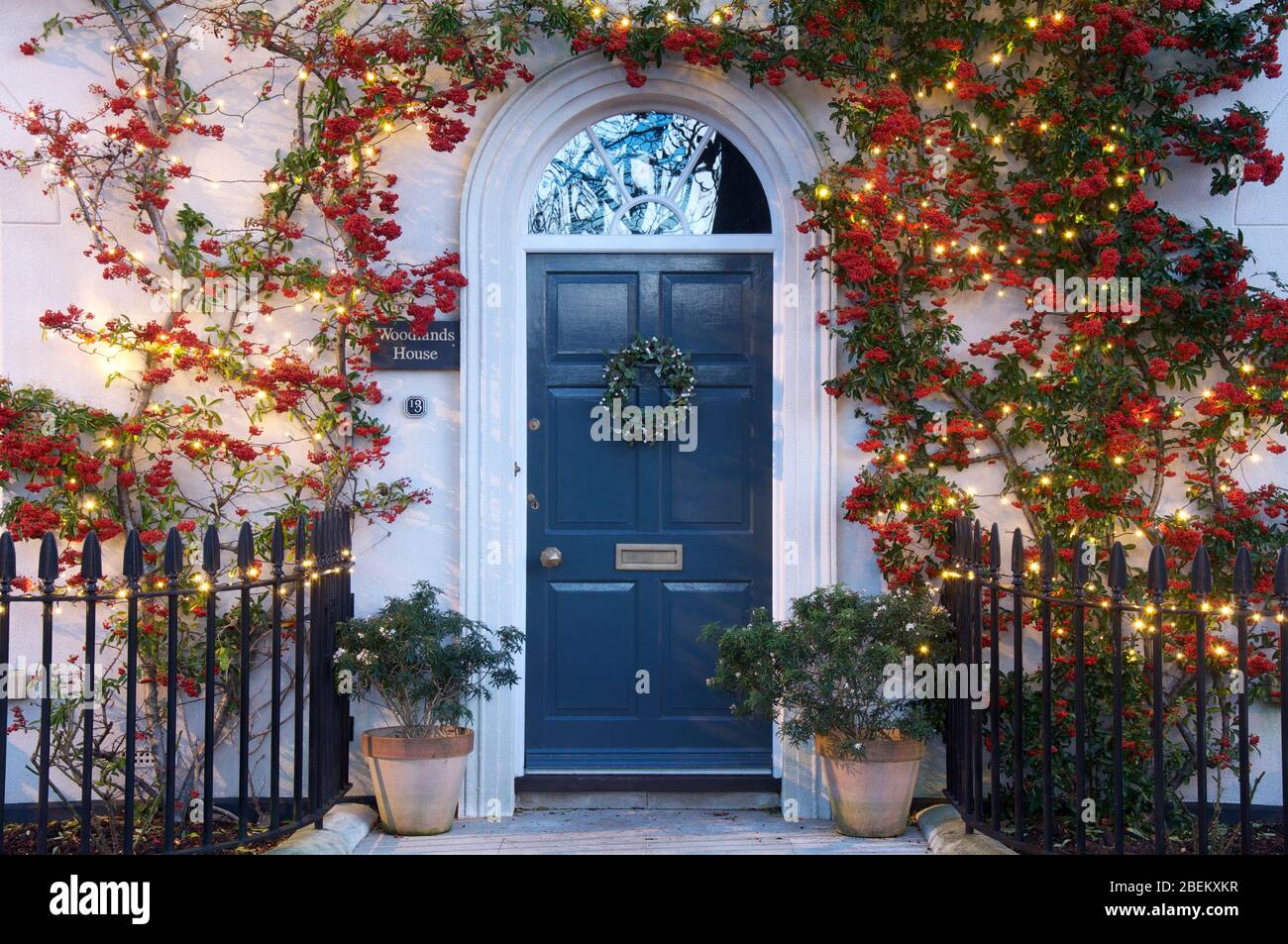 Front door of a house framed by a climbing Pyracantha plant decorated with clusters of red berries and Christmas lights. Poundbury, Dorchester, UK, GB. Stock Photo